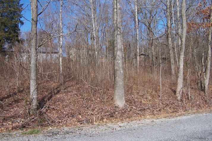 Lot 189 Frontier Lane, Cadiz, KY 42211