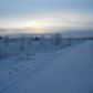 NHN None Assigned, Salcha, 99714, Fairbanks, AK 99701 ID:3172091