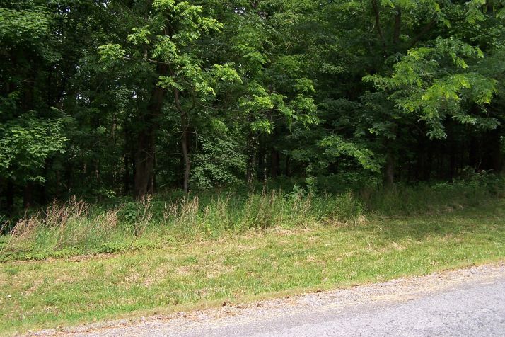 Lot 123 Woodfield Estates Dr., Cadiz, KY 42211