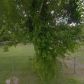 Butler Rd, League City, TX 77573 ID:999303