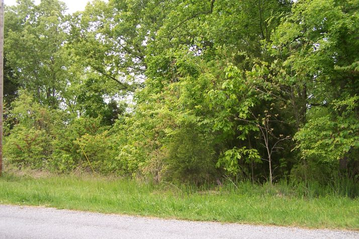 000 Al Henn Rd. Lot 19 Windsor Way, Cadiz, KY 42211