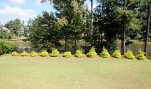 3040 Creek Tree Lane Cumming, GA 30041