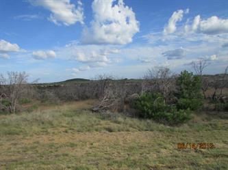 Lot 122 Phase One Sec One The Apn#r, Graford, TX 76449