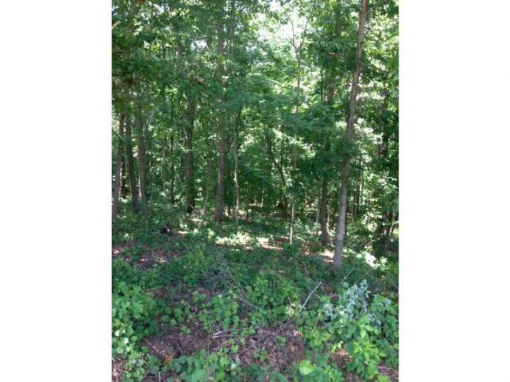 151 Nugget Trail, Braselton, GA 30517