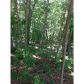 151 Nugget Trail, Braselton, GA 30517 ID:3291855