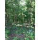 151 Nugget Trail, Braselton, GA 30517 ID:5553896
