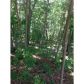 151 Nugget Trail, Braselton, GA 30517 ID:5553897
