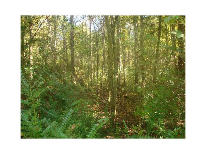 0 Tyree Road, Winston, GA 30187