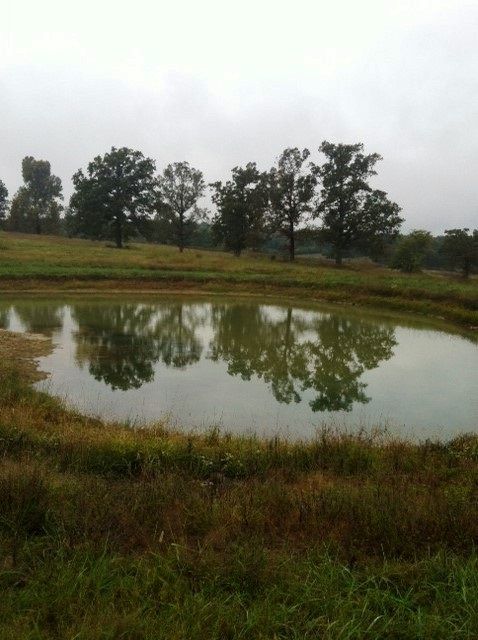 Lot 1 Oak Valley Lane Ln, Mountain Home, AR 72653