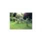 5506 Raintree Trace, Oakwood, GA 30566 ID:4206302