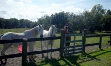 532 CR 90 E Bunnell, FL 32110