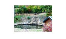 19 Golden Eagle Circle Turtletown, TN 37391