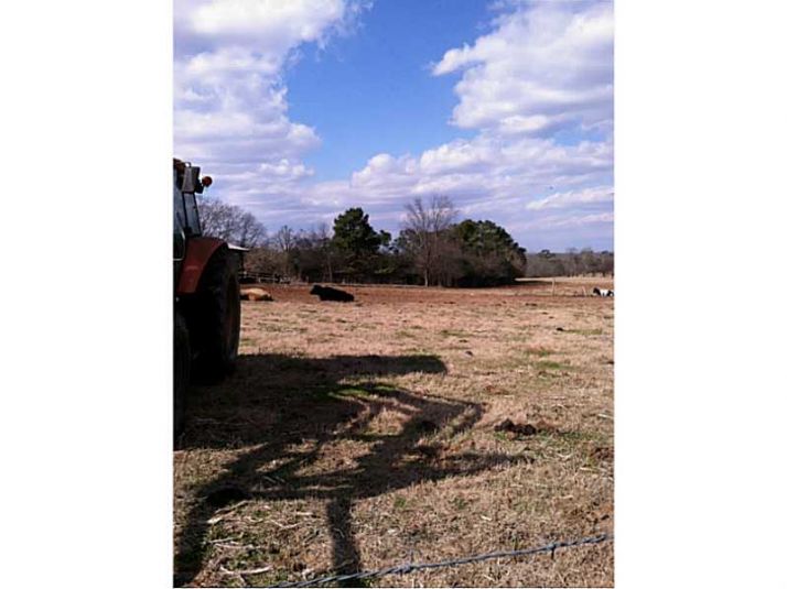 2451 Broughton Road, Newborn, GA 30056