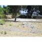 3703 Manchester Ave 2, Encinitas, CA 92024 ID:2016287