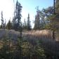 69509 Sonnichson Ave, Anchor Point, AK 99556 ID:1109501