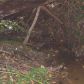0 High Shoals Drive, Dahlonega, GA 30533 ID:3295392