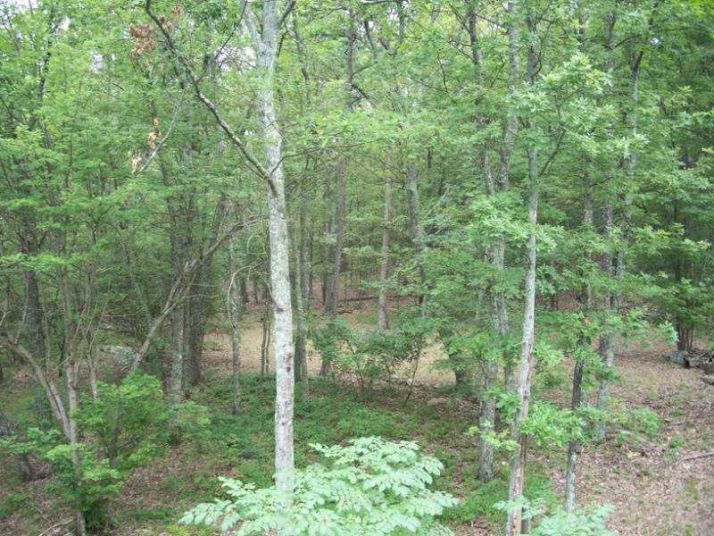 0 Johnson Lane, Menlo, GA 30731