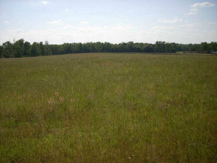 0 Hwy 142, Newborn, GA 30056