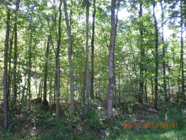 722 GREENBRIAR COVE ROAD, Union Grove, AL 35175