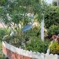 118 Palm Blvd., Parrish, FL 34219 ID:1853681