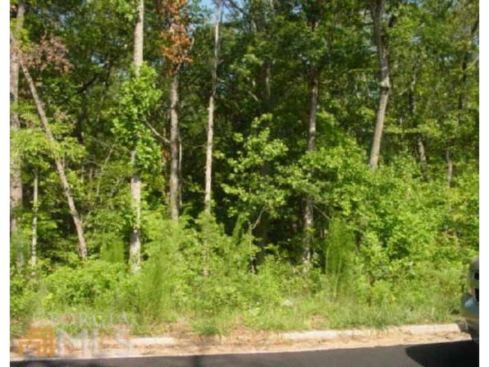 7041 Camp Falls Court, Winston, GA 30187