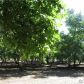 2270 N Lindo Ave, Chico, CA 95973 ID:1838049