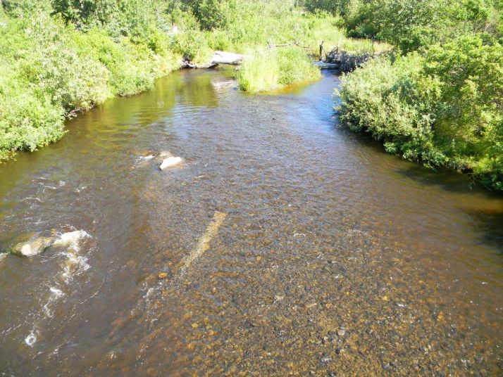 L12 River Drive, Anchor Point, AK 99556