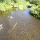 L12 River Drive, Anchor Point, AK 99556 ID:1109514