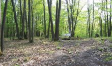 5352 FAWN TERRACE Farwell, MI 48622