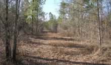 0 Pitts Chapel Road Newborn, GA 30056