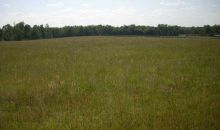 0 Hwy 142 Newborn, GA 30056