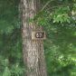 87 Joy Church Ln, Lakemont, GA 30552 ID:1107713
