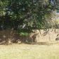 1573 Derbyshire Rd, Daytona Beach, FL 32117 ID:5067218