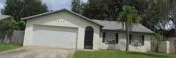 11403 Wheeling Dr, Tampa, FL 33625