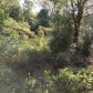 County Road 401, Elba, AL 36323 ID:4924792