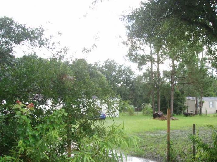 33601 MANDRAKE RD, Wesley Chapel, FL 33543