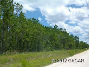 00 NE 24th Loop, High Springs, FL 32643