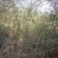 7074 Britt Gailey Road, Clermont, GA 30527 ID:5608175