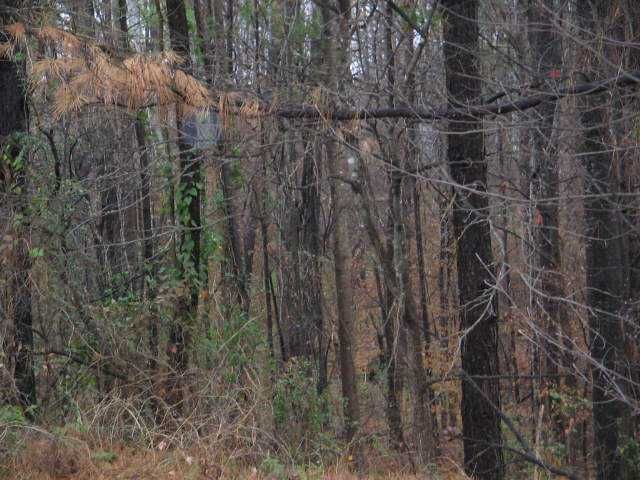 5355 John Burruss Road, Cumming, GA 30040