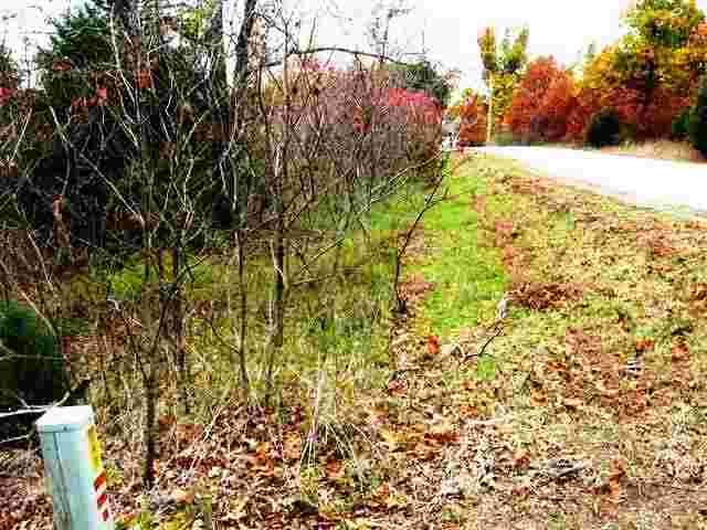 Lot 10 Oak Summit Drive Dr, Mountain Home, AR 72653