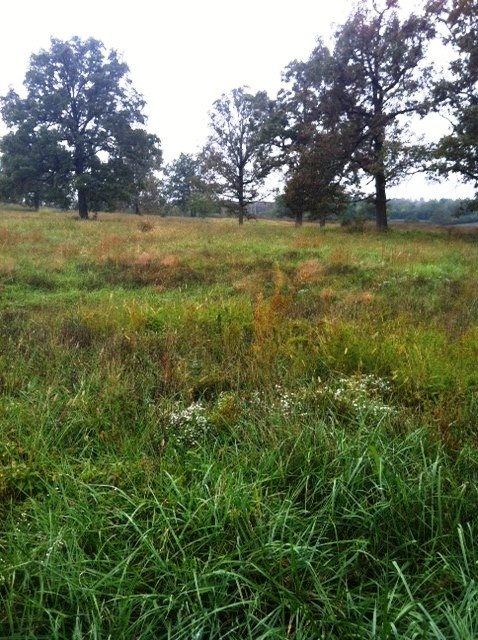 Lot 1 Oak Valley Lane, Mountain Home, AR 72653