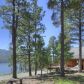 717 Lake View Drive, Bayfield, CO 81122 ID:5119067