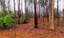 20 N Fork Drive Marietta, GA 30064