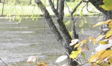 0 River Park Drive Piney Creek, NC 28663