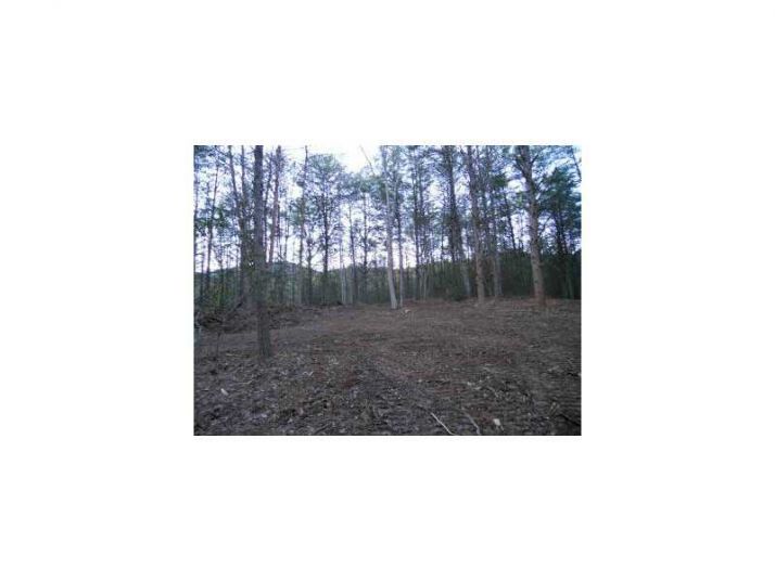 403 Beaver Cove Road, Turtletown, TN 37391