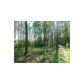 403 Beaver Cove Road, Turtletown, TN 37391 ID:5722813