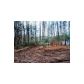 403 Beaver Cove Road, Turtletown, TN 37391 ID:5722814