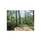 403 Beaver Cove Road, Turtletown, TN 37391 ID:5722817