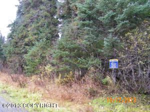 000 Alyeska Highway, Girdwood, AK 99587