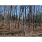 6582 Lights Ferry Road, Flowery Branch, GA 30542 ID:2445507